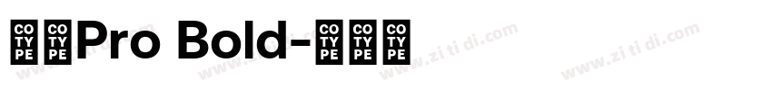 日产Pro Bold字体转换
